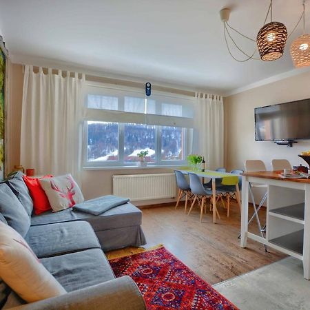 Apartament Apartament Zielona Mila Ustrzyki Dolne Zewnętrze zdjęcie